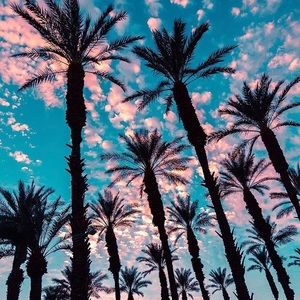 Meet your Posher, Debra